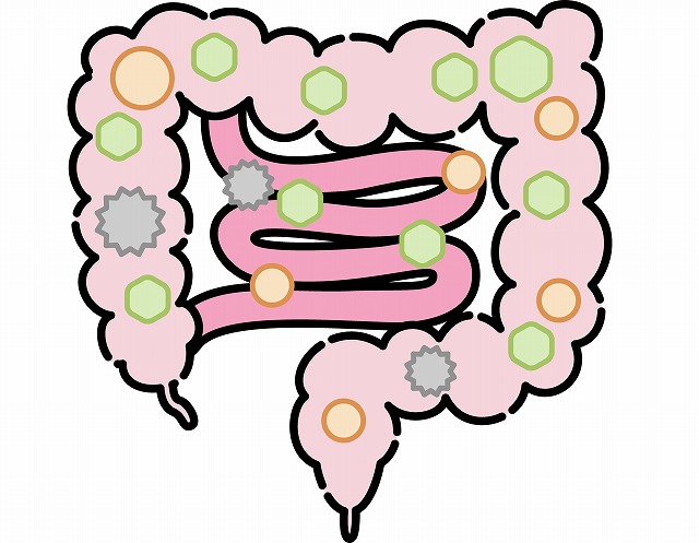 腸内フローラとは